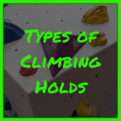 Types of Holds