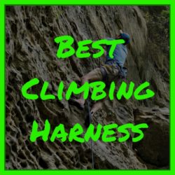 Best Climbing Harness